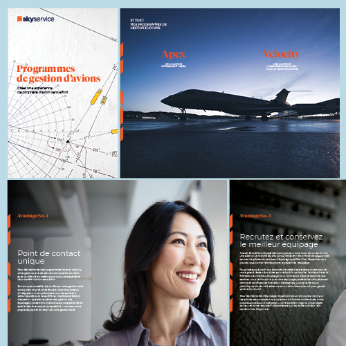 Programmes de gestion d’avions