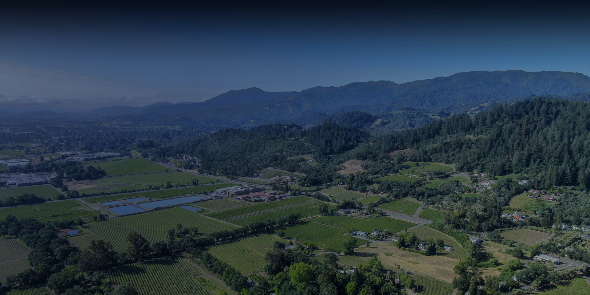 Napa wine region with view of scenic view of vineyards